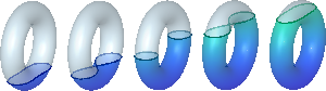 Sublevel sets on the vertical torus