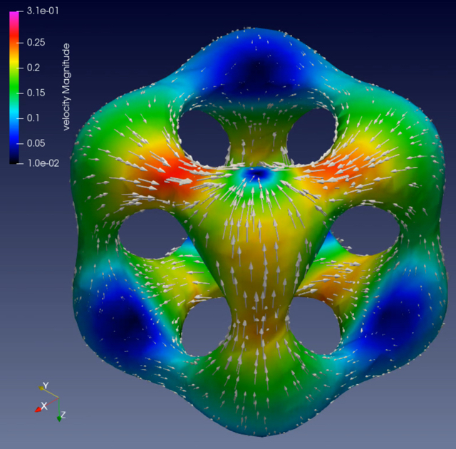 Velocity field from an unsteady surface Stokes problem posed on a more complex manifold