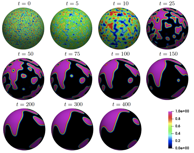 Evolution of the numerical solution of the Allen-Cahn equation on the surface of a
sphere computed with TraceFEM.