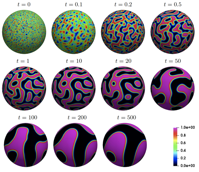 Evolution of the numerical solution of the Cahn-Hilliard equation on the surface of a
sphere computed with TraceFEM.